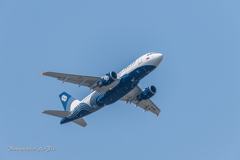 Aurora Airbus A319 in NRT さくらの丘