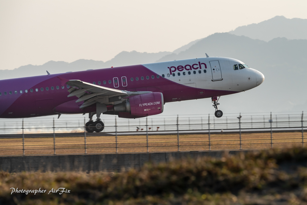 MIYAZAKI BougainvilleaAirport inPeach Ⅱ