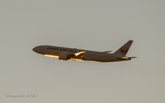 JAL Boeing 777-289 JA008D