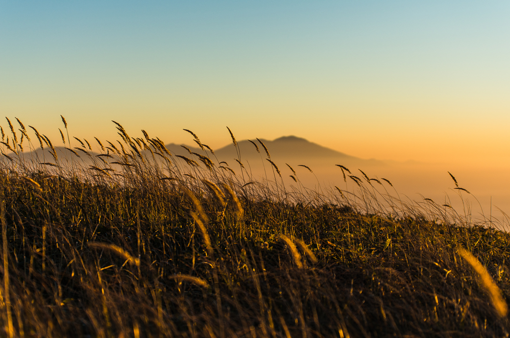 美ヶ原高原の朝
