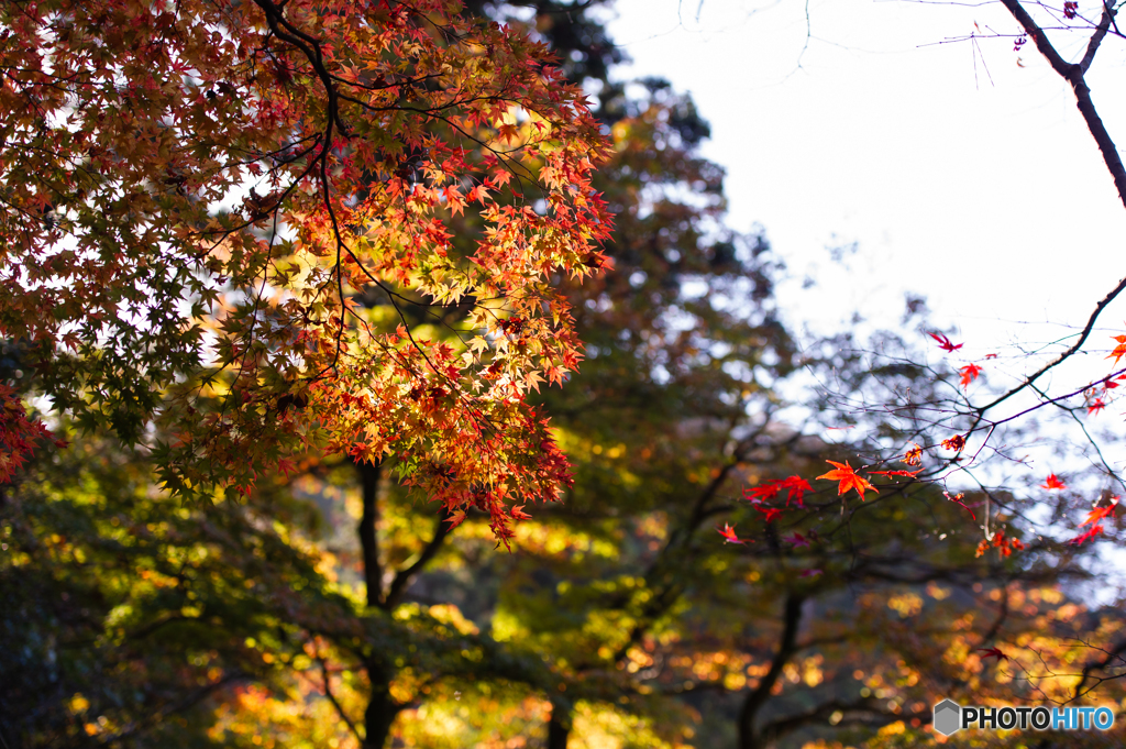 朝陽を浴びて