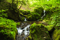 富山　日石寺にて