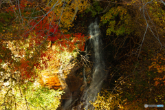 名も知らぬ滝と紅葉