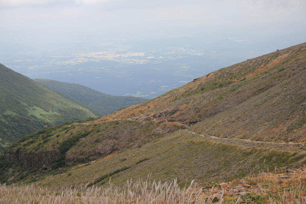 山
