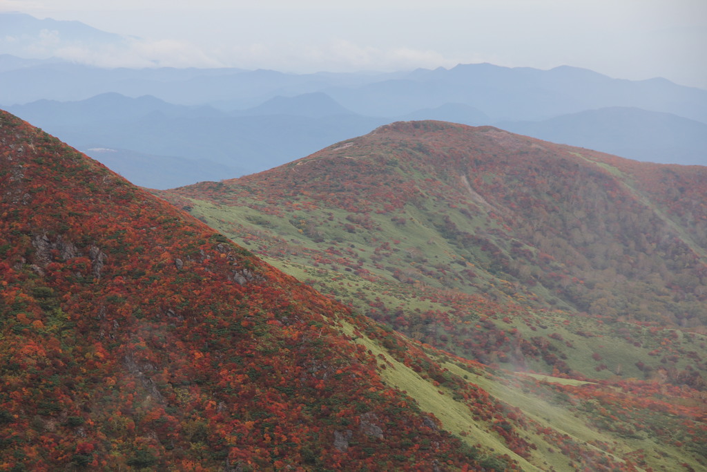 山