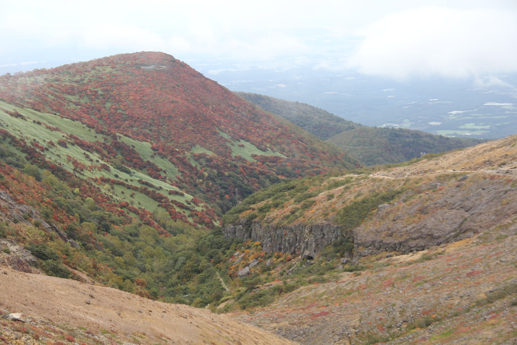 山