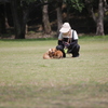 何故かLovey