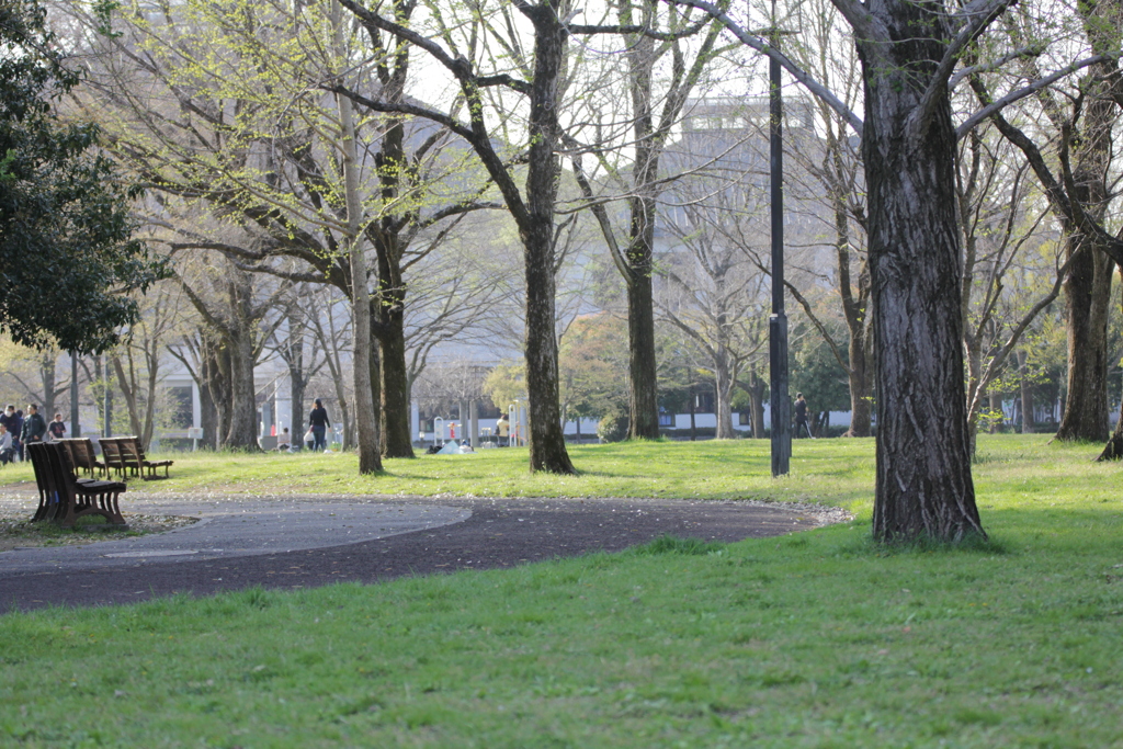 公園