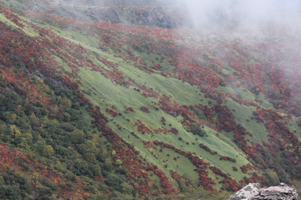 山