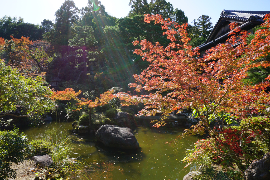 吉城園のお出迎え