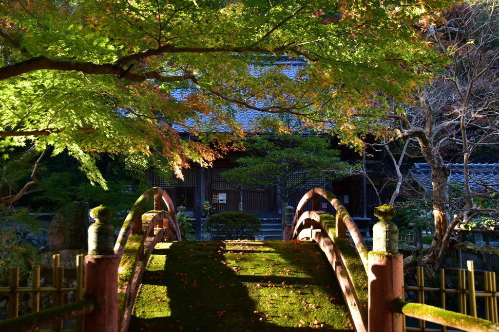 夕方の大澤寺２