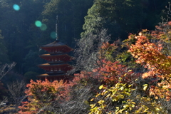 長谷寺　五重の塔