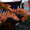 長谷寺　紅葉1