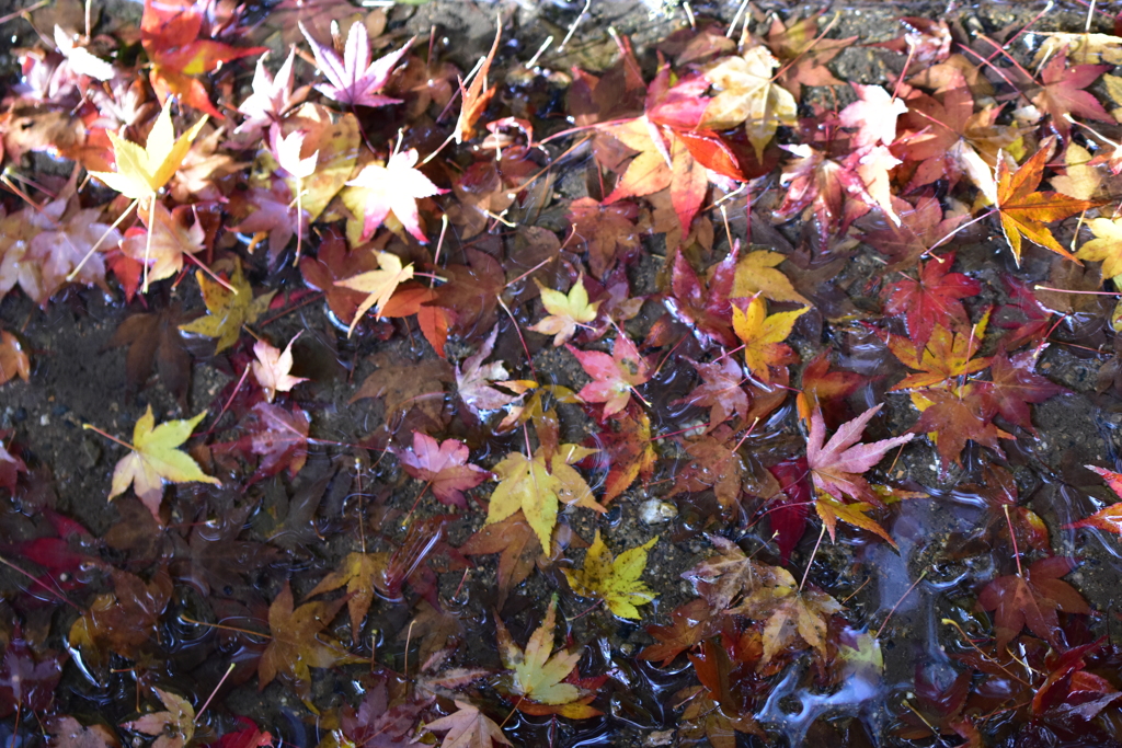 カラフルな溝