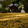 素盞雄神社