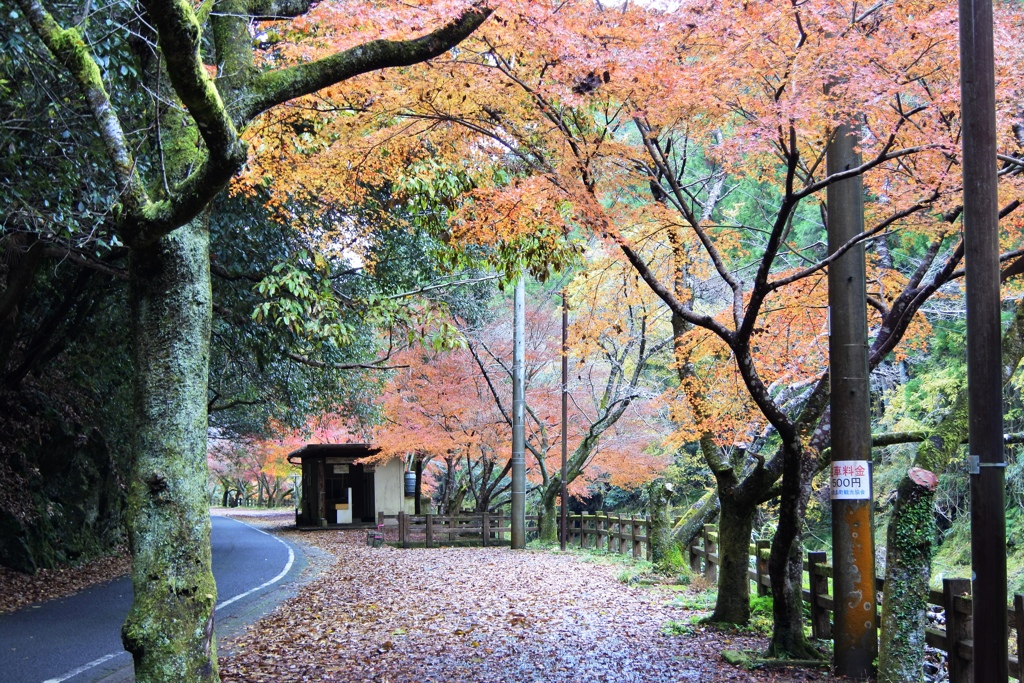 玉川峡