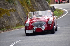 AUSTIN HEALEY 100 BN1 