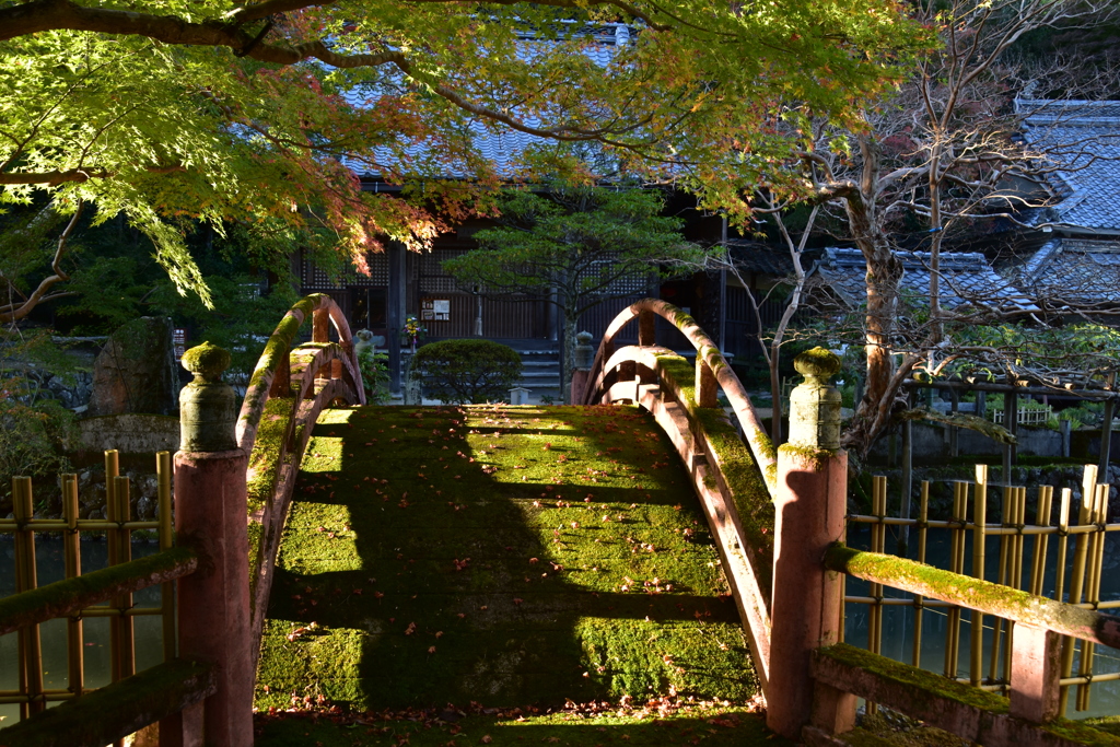 夕方の大澤寺４