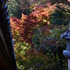 長谷寺　紅葉2