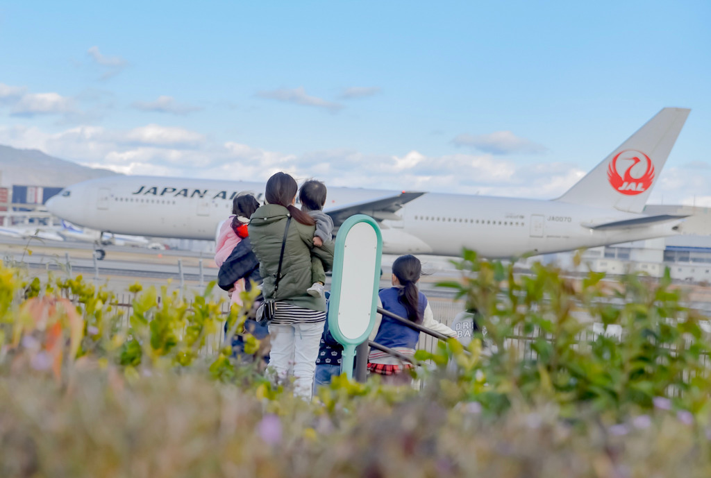 間近の飛行機は迫力満点