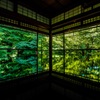 瑠璃光院 紅葉前