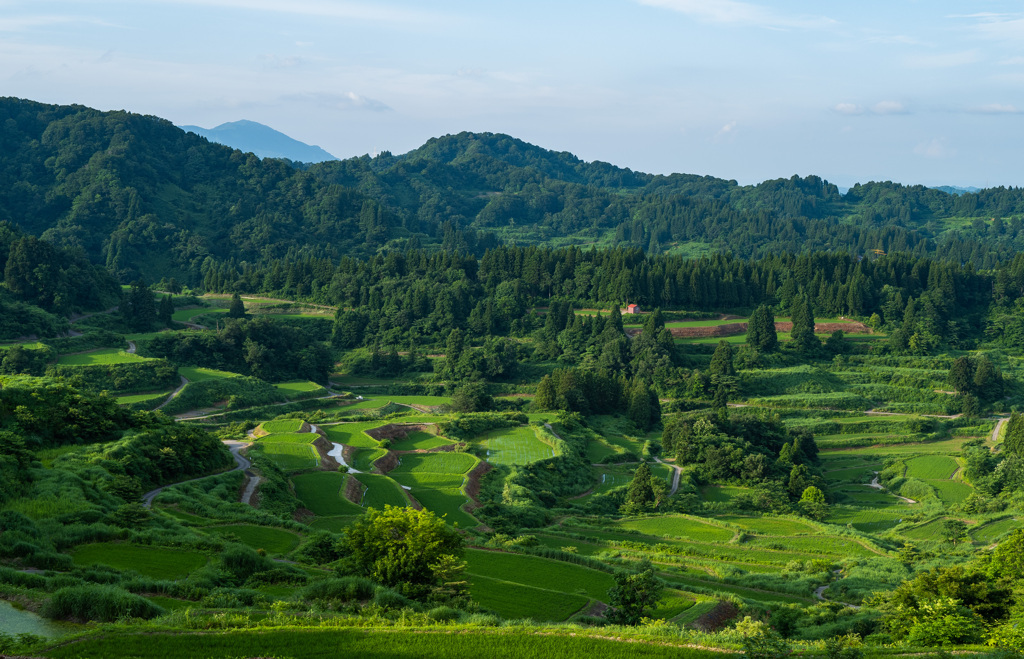 日本の風景