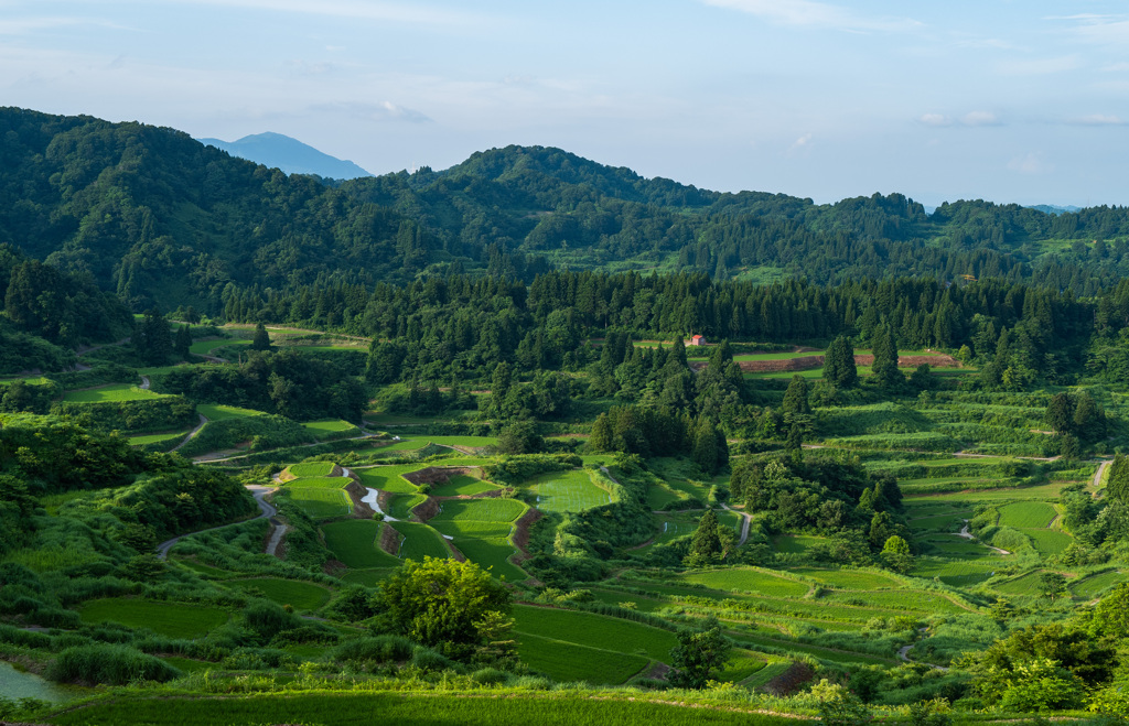 日本の風景