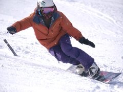 Snow  boarder