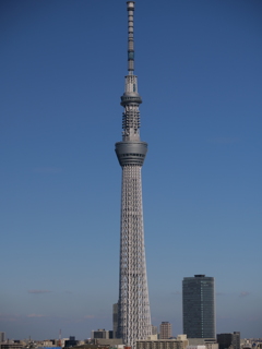 skytree