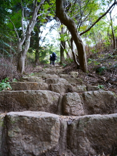 六甲山登山道