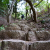 六甲山登山道