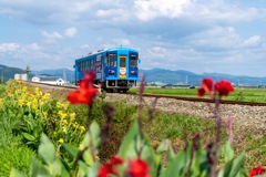 花が枯れてなかったら良かったのに…