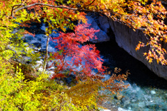 中津峡の秋