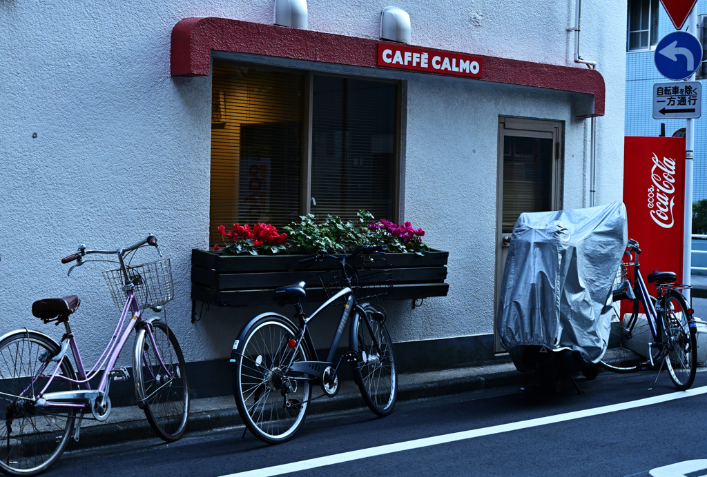 カフェと自転車