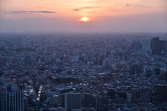 東京の夕陽