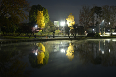 夜明け前の公園