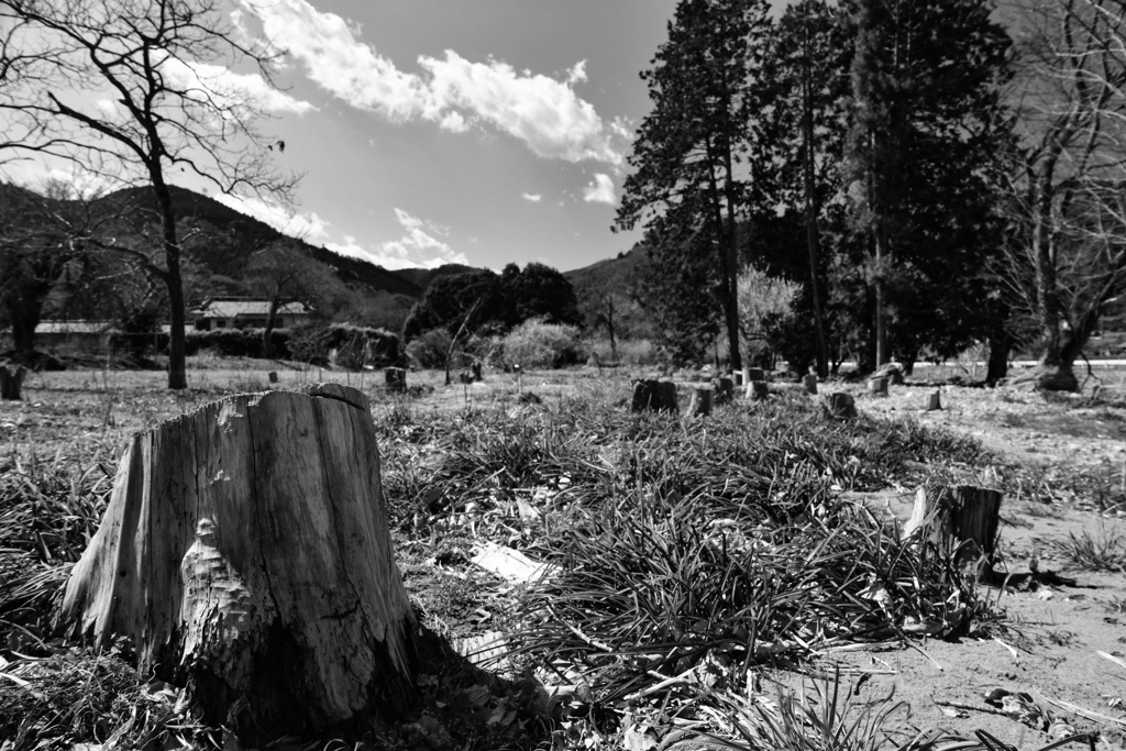 里山風景 川原