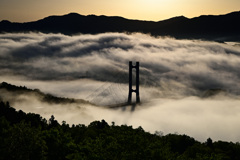 雲海に掛ける橋