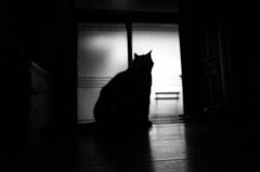 門番