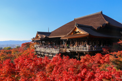 秋の清水寺