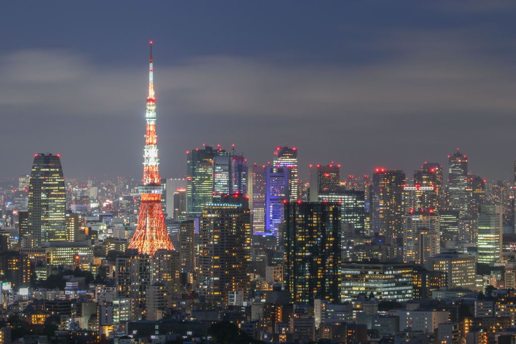 八月、夜の東京