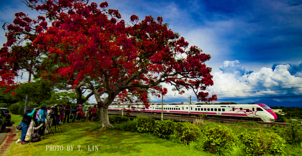 咲いた炎の花とエクスプレス