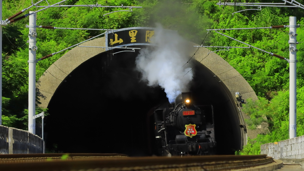 SL仲夏宝島号　その3