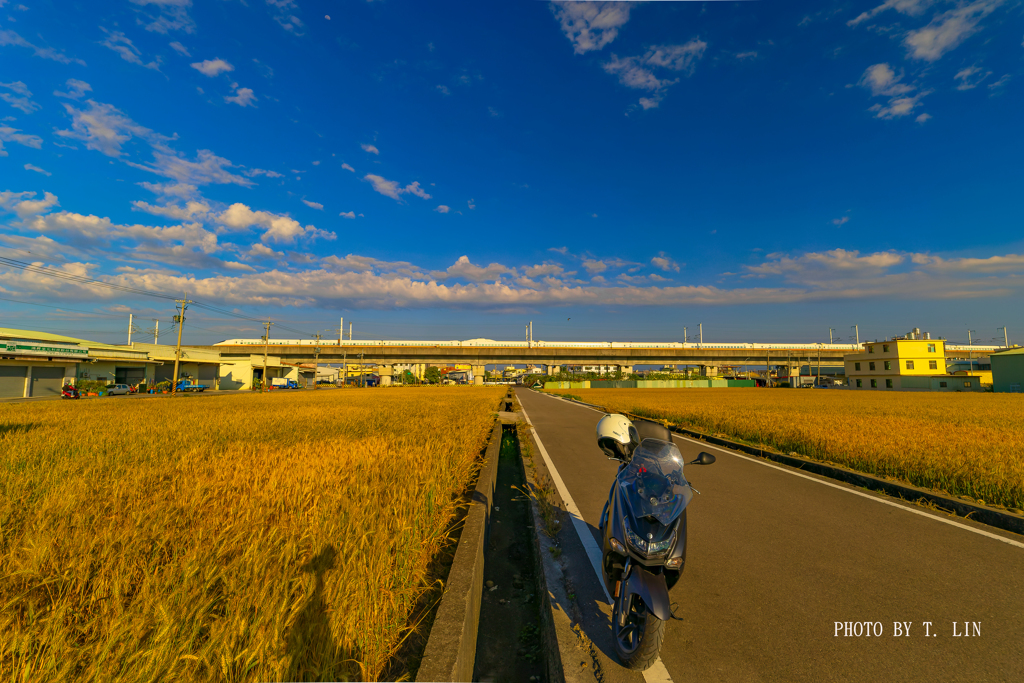 地元の小麦畑の景色①