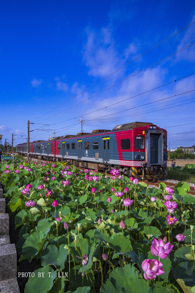 EMU500型しなの鉄道ラッピング