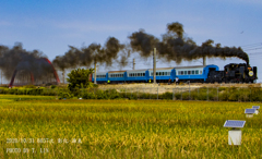 SL CK124号機：二水跑水祭専車　その4