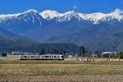 長閑