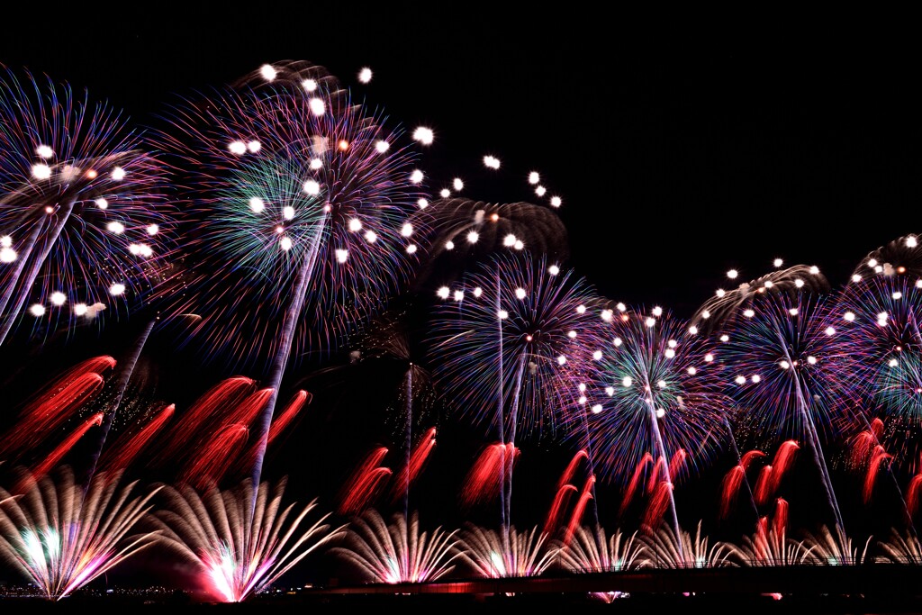 2019 長岡大花火大会～復興祈願花火『フェニックス2019』