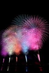 2019 長岡大花火大会～ワイドスターマイン