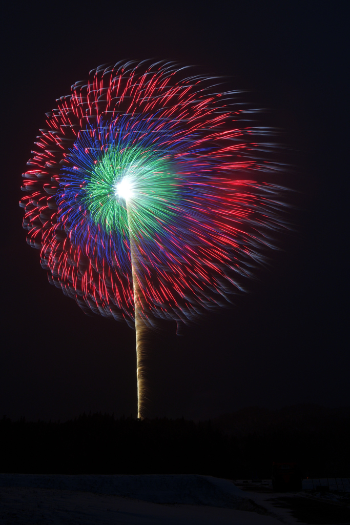 迎春の三重芯